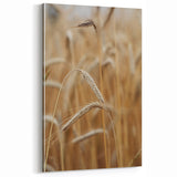 Golden Wheat Field - Rustic Farmhouse Wall Art Decor