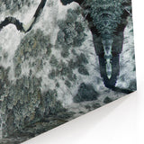 Adirondacks Canvas Art – Aerial View of Snowy River and Winter Forest