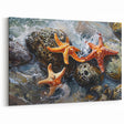 Coastal Wall Art – Starfish Ocean Art Prints for Nautical Home Decor