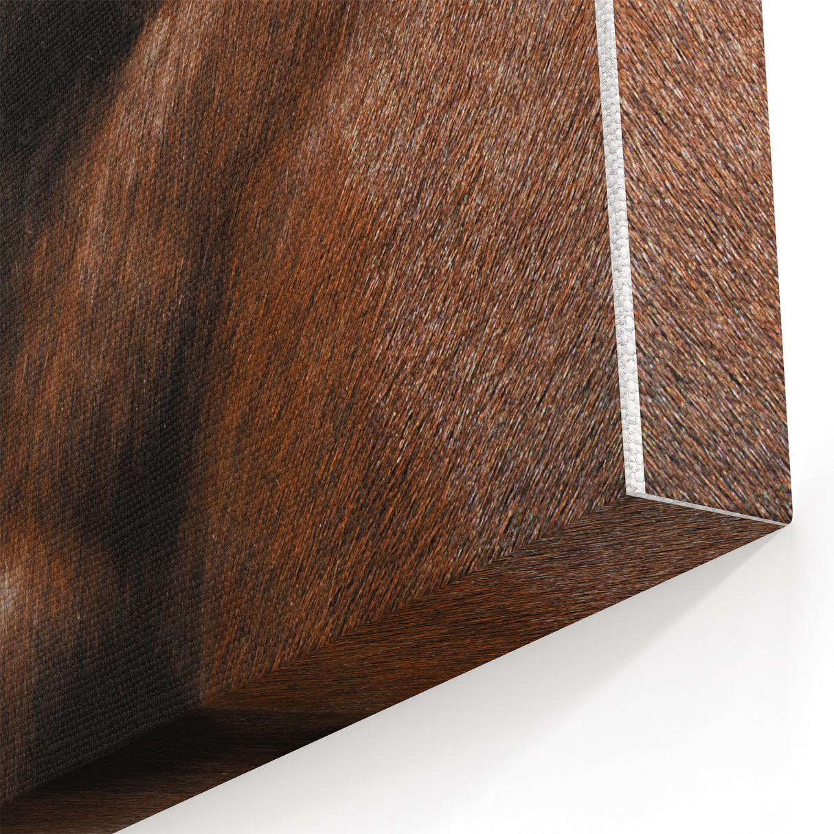 Rustic Wall Art - Close-Up Horse Mane & Coat, Farmhouse Decor Print