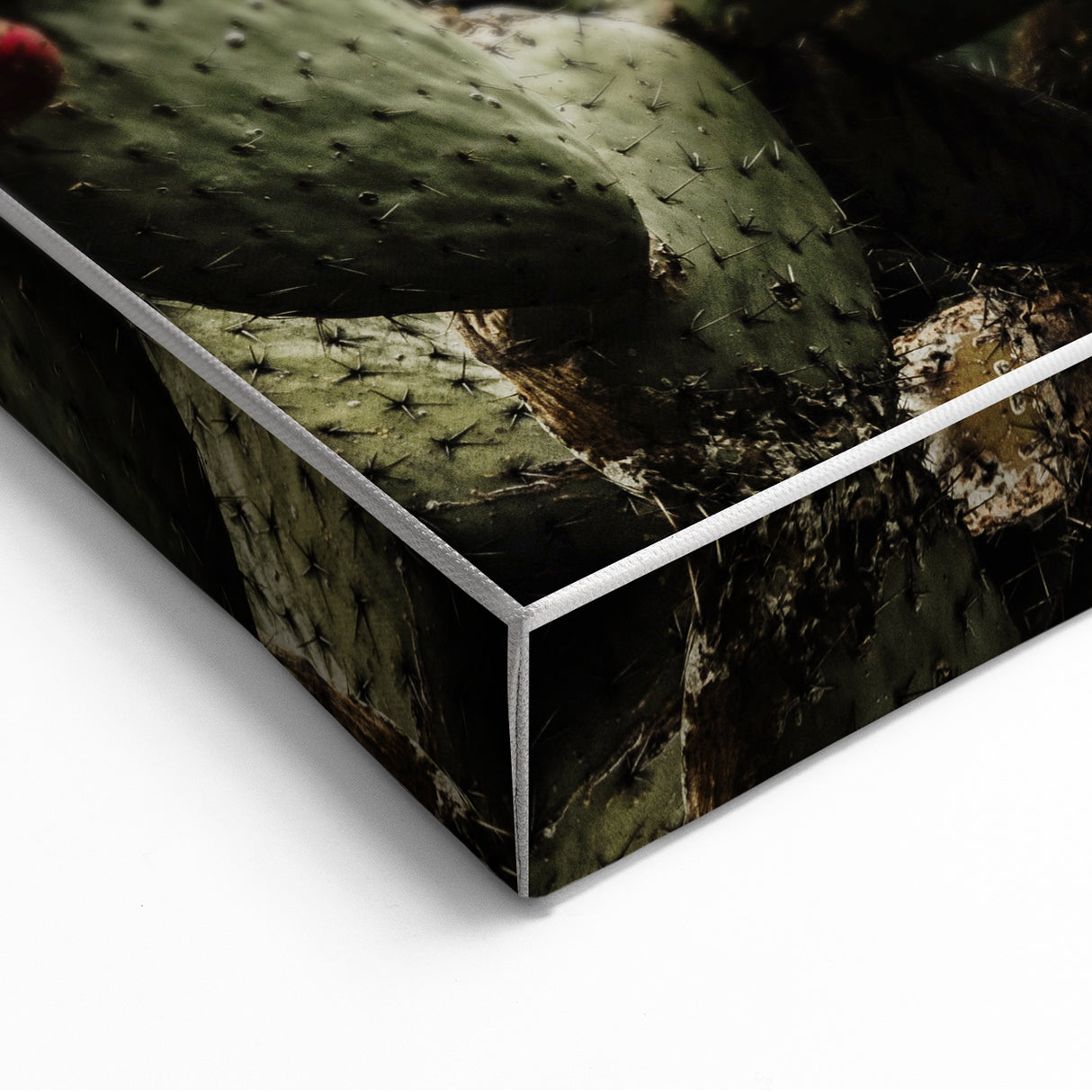 Rustic Wall Art - Prickly Pear Cactus with Red Fruit, Farmhouse Decor Print
