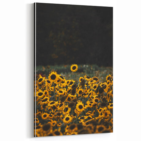 Rustic Wall Art - Sunflower Field at Sunset, Farmhouse Decor Print
