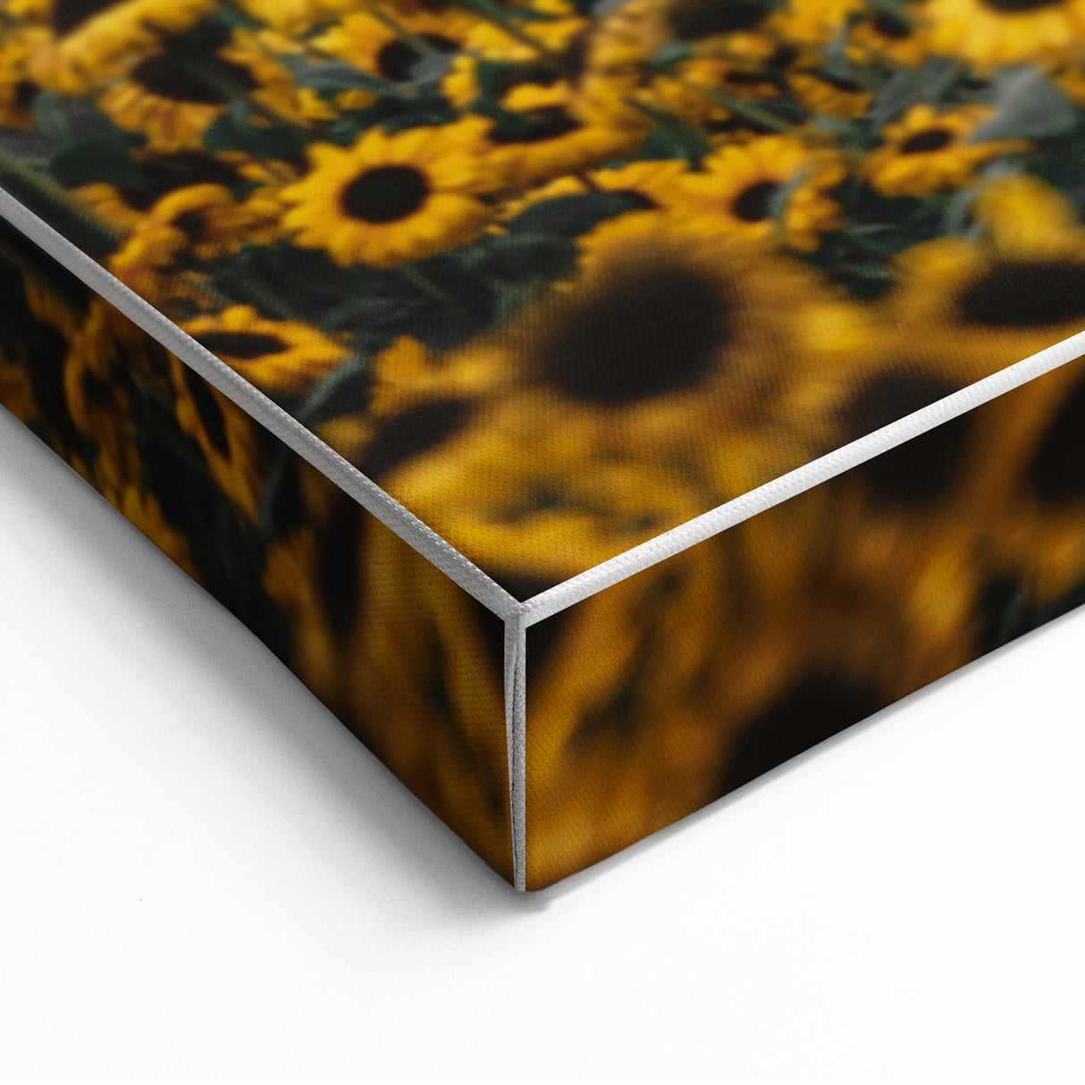 Rustic Wall Art - Sunflower Field at Sunset, Farmhouse Decor Print
