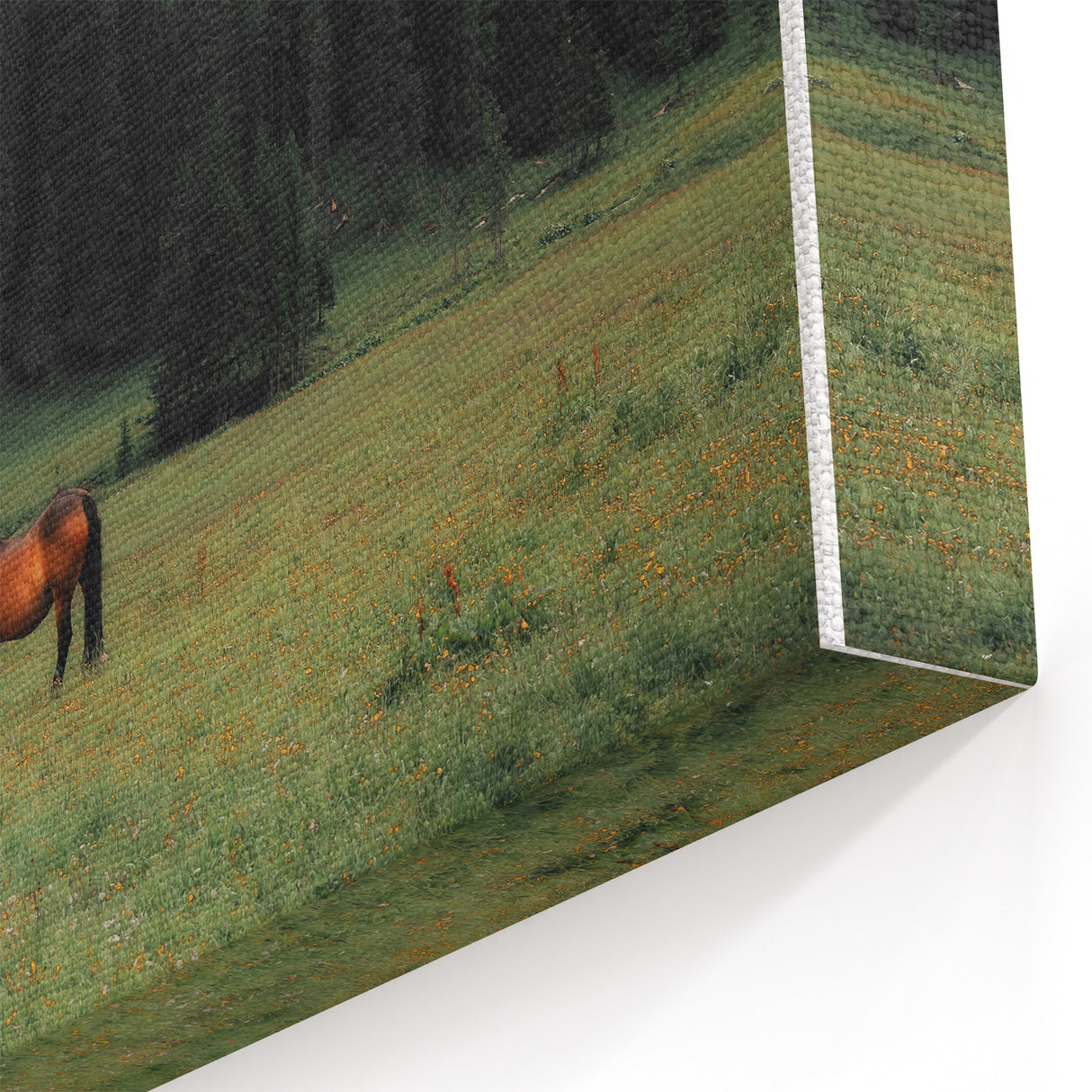 Rustic Wall Art - Horse Grazing in Mountain Valley, Farmhouse Decor Print