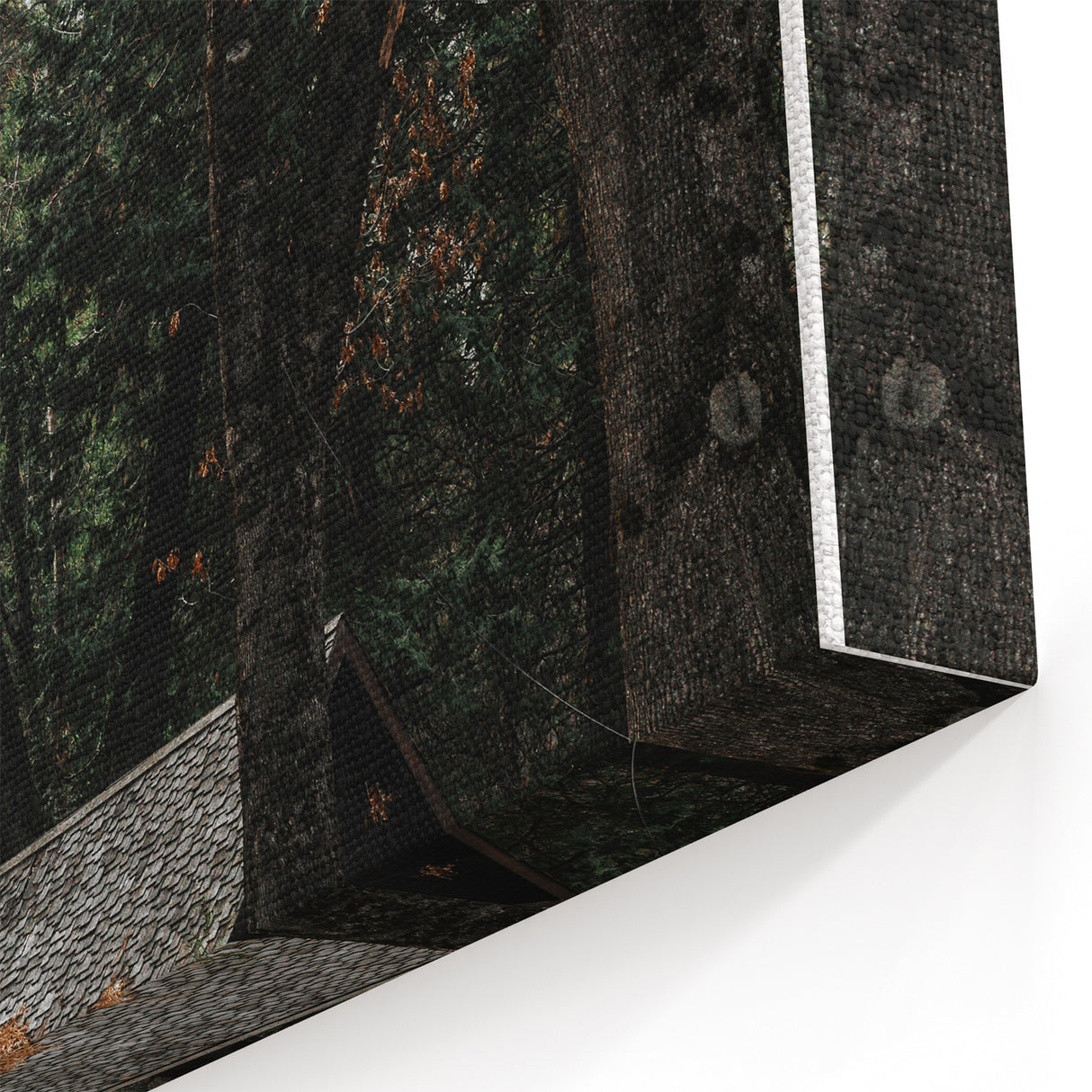 Rustic Wall Art - Cabin in the Woods, Farmhouse Decor, Cozy Nature Print