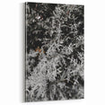 Rustic Wall Art - Frosted Evergreen Branches for Winter Wonderland Decor