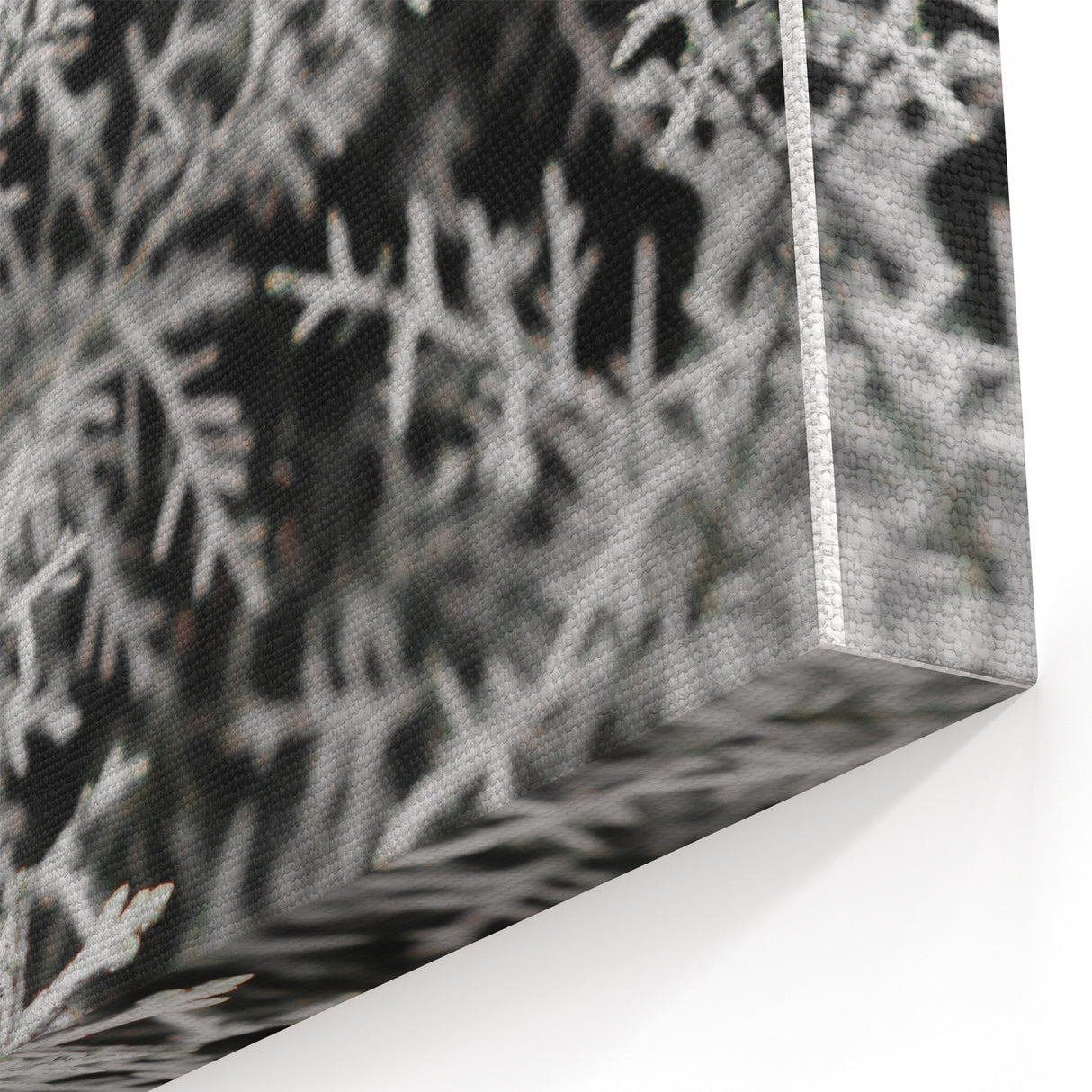 Rustic Wall Art - Frosted Evergreen Branches for Winter Wonderland Decor