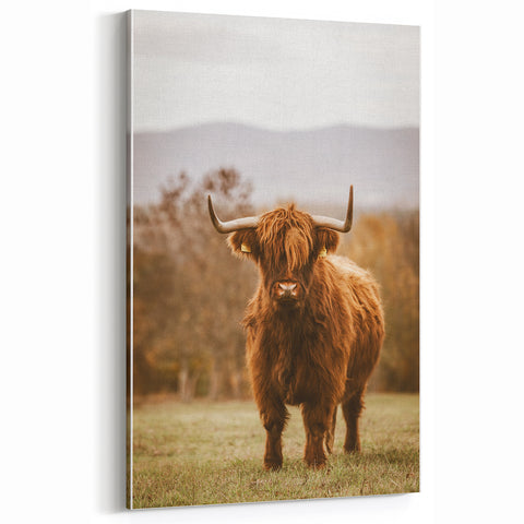 Rustic Wall Art - Highland Cow in Pasture for Farmhouse Nature Decor