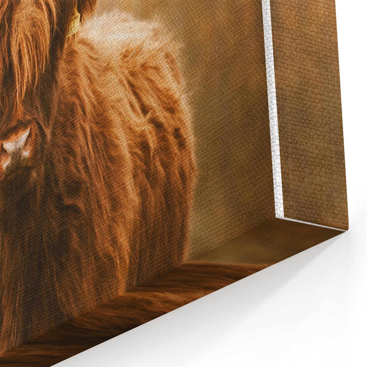 Rustic Wall Art - Highland Cow in Pasture for Farmhouse Nature Decor