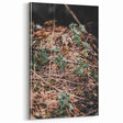 Rustic Wall Art - Green Seedlings in Nature for Farmhouse Nature Decor