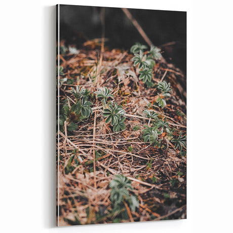 Rustic Wall Art - Green Seedlings in Nature for Farmhouse Nature Decor