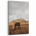 Rustic Wall Art - Wild Horse in Mountain Landscape for Farmhouse Decor