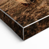 Rustic Wall Art - Wild Horse in Mountain Landscape for Farmhouse Decor