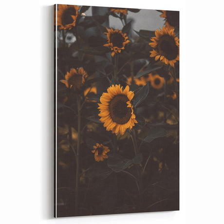 Rustic Wall Art - Moody Sunflowers for Vintage Farmhouse Decor
