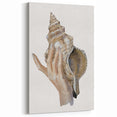 Coastal Wall Art - Nautical Conch Shell Print for Beach-Themed Decor