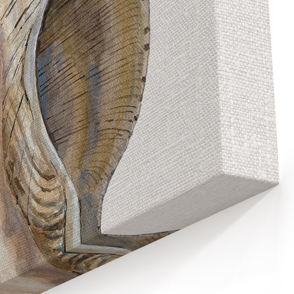 Coastal Wall Art - Nautical Conch Shell Print for Beach-Themed Decor