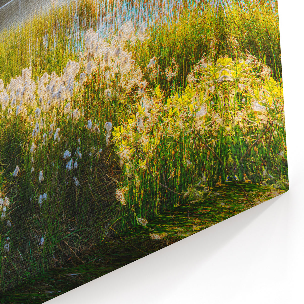 Slovakia Photography Art – Sunrise Reflection in Slovakia Canvas Prints