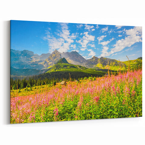 Slovakia Scenery Prints – Flower Fields and Mountains Slovakia Artwork