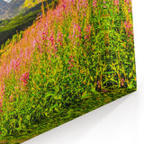 Slovakia Scenery Prints – Flower Fields and Mountains Slovakia Artwork