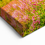 Slovakia Scenery Prints – Flower Fields and Mountains Slovakia Artwork