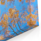 Ukraine Wall Art – Stunning Ukraine Scenery Prints on Canvas & Acrylic