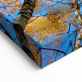 Ukraine Wall Art – Stunning Ukraine Scenery Prints on Canvas & Acrylic