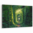 Ukrainian Art Prints – Tunnel of Love, Scenic Green Forest Wall Art