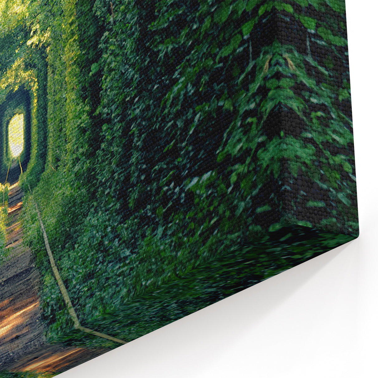 Ukrainian Art Prints – Tunnel of Love, Scenic Green Forest Wall Art