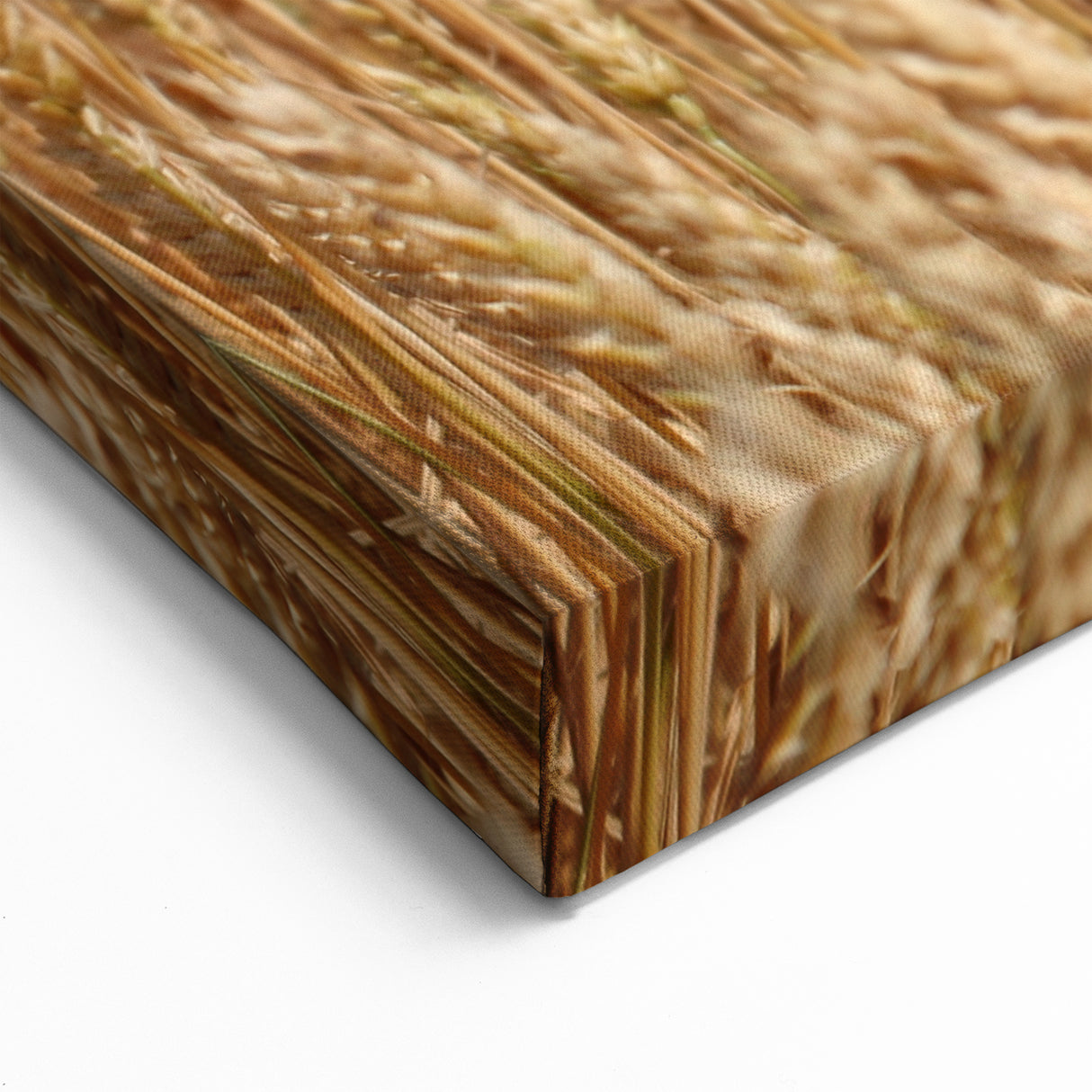 Golden North Dakota Wheat Field - Scenic Canvas Prints & Wall Art