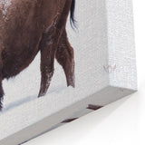 North Dakota Bison in Snow - Scenic Wall Art and Canvas Prints