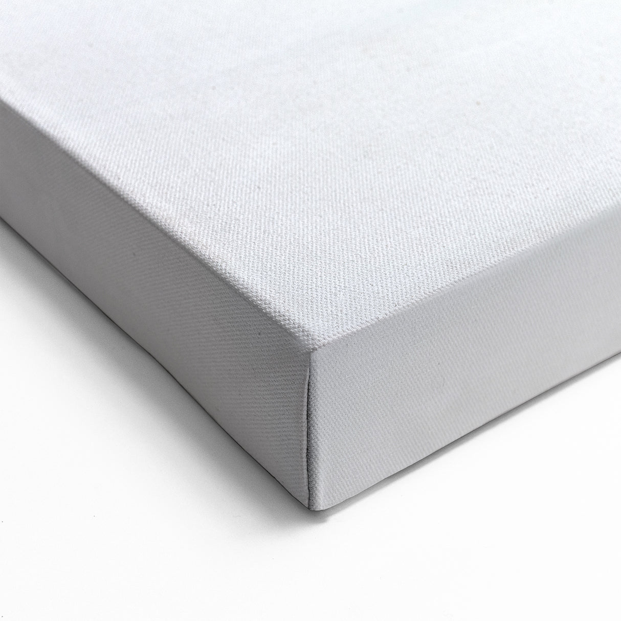 North Dakota Bison in Snow - Scenic Wall Art and Canvas Prints