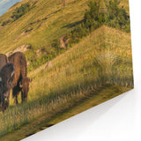 Bison Herd in Theodore Roosevelt National Park - North Dakota Scenic Art