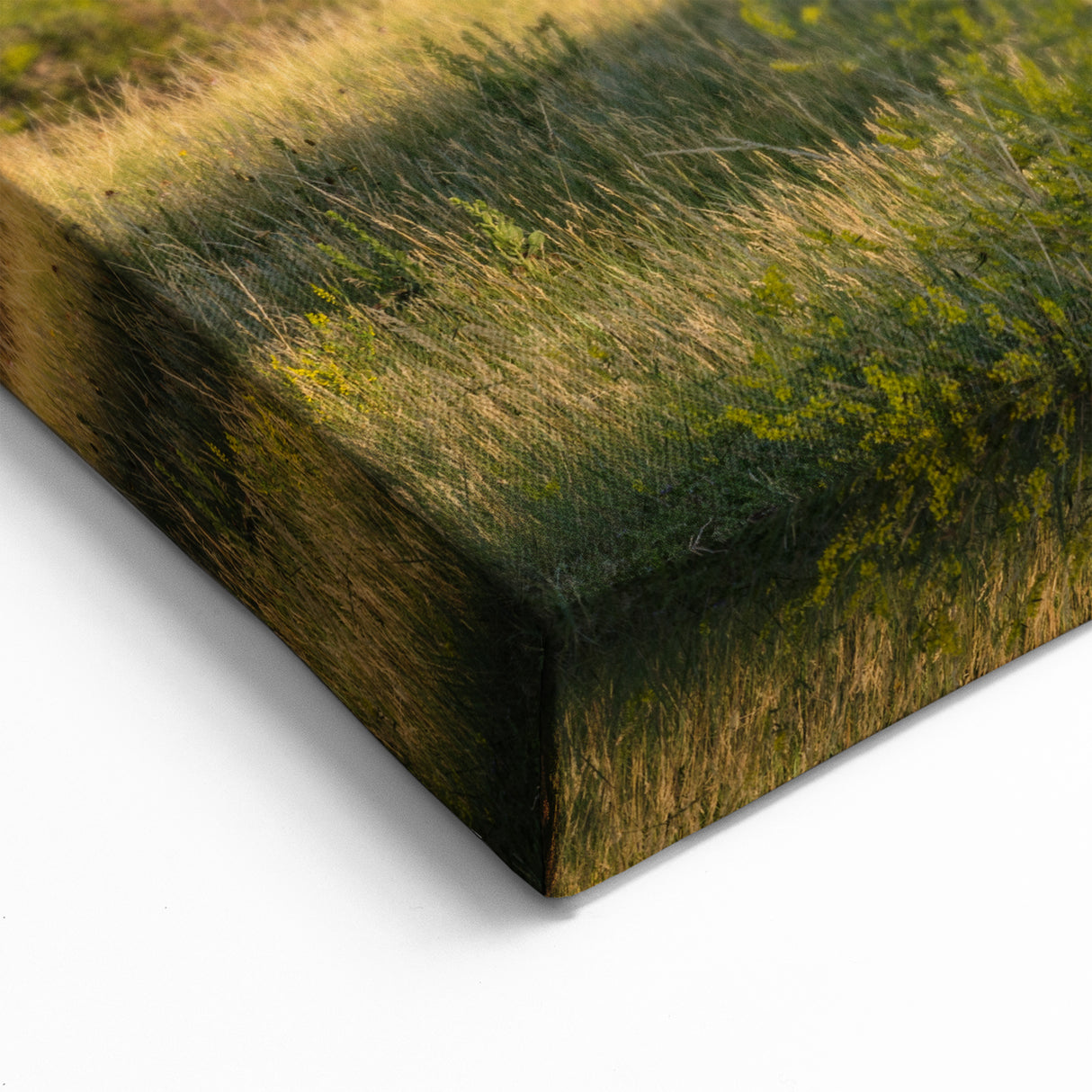 Bison Herd in Theodore Roosevelt National Park - North Dakota Scenic Art