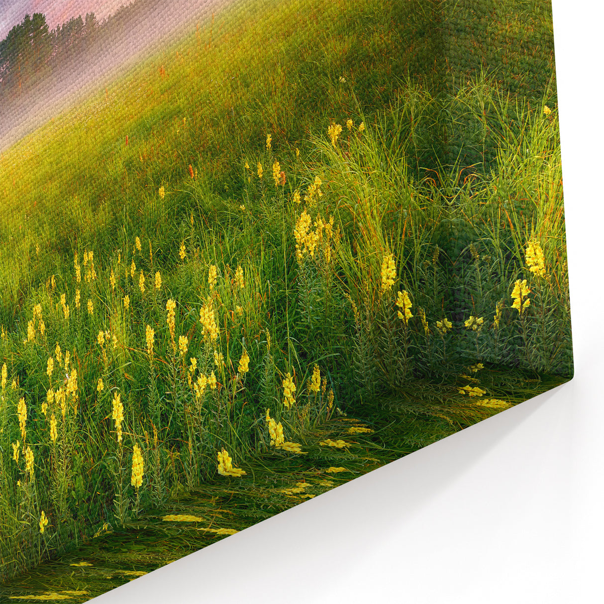 Ukraine Scenery Prints – Misty Morning Meadow with Sunrise Wall Art