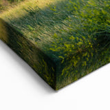 North Dakota Bison in Theodore Roosevelt Park - Scenic Photography Art