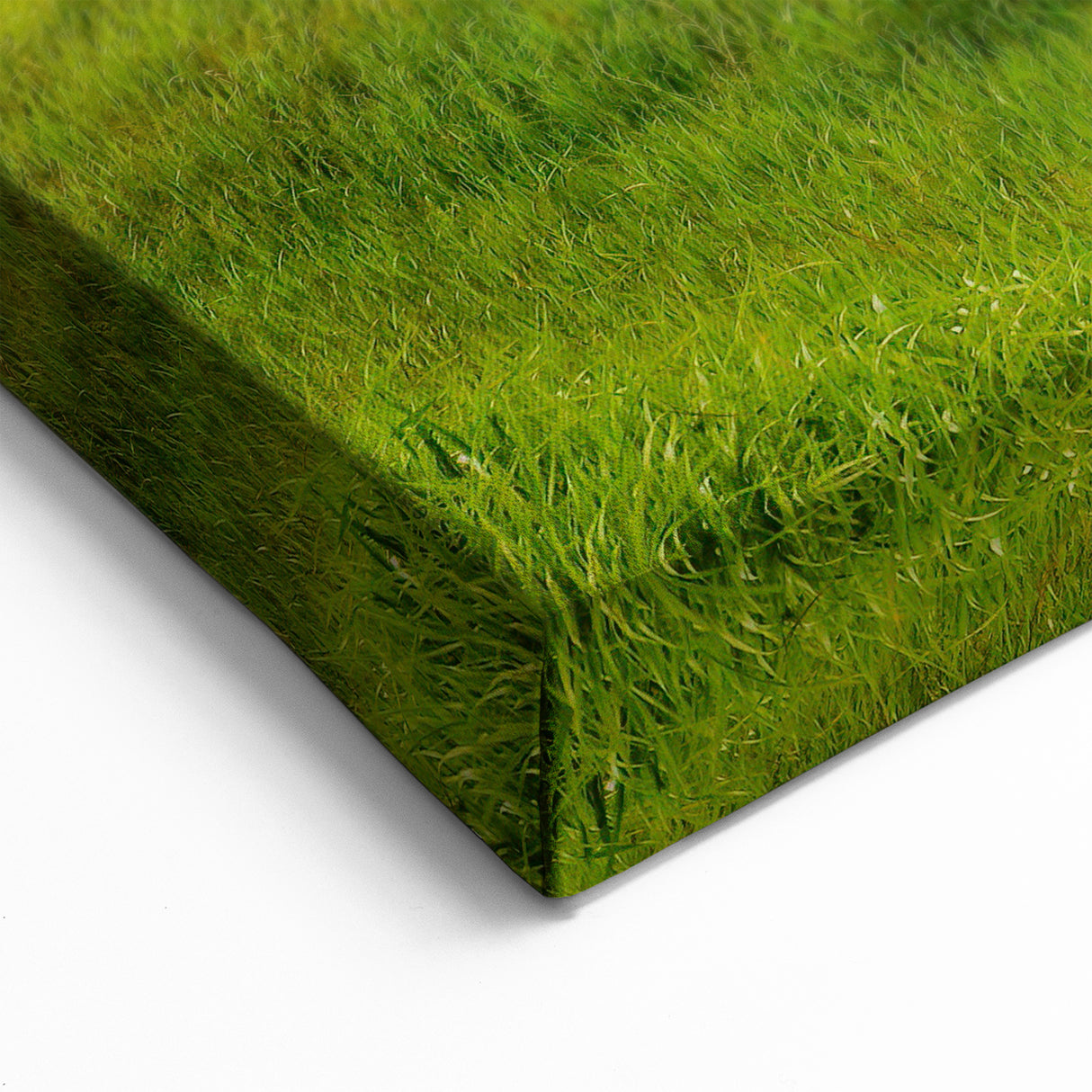 Rustic Barn at Sunset - North Dakota Scenic Art and Canvas Prints