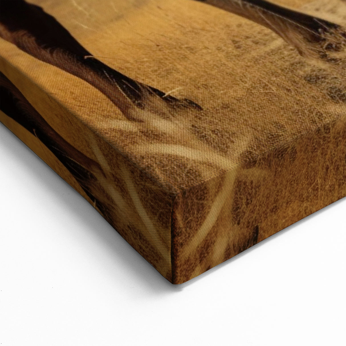 Majestic Bison in North Dakota - Scenic Wildlife Photography & Wall Art