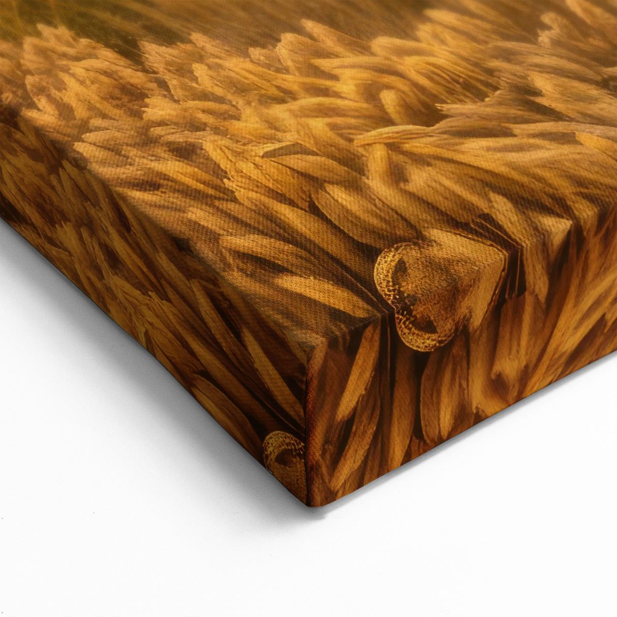 Golden Wheat Fields and Red Barn - North Dakota Landscape Wall Art