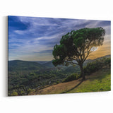 Scenic Andalucía Artwork - Lone Tree in Rolling Hills at Sunset