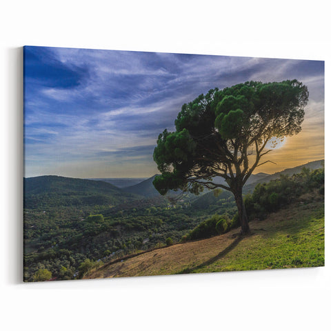 Scenic Andalucía Artwork - Lone Tree in Rolling Hills at Sunset
