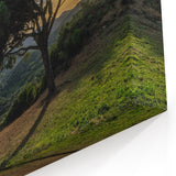 Scenic Andalucía Artwork - Lone Tree in Rolling Hills at Sunset
