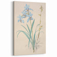 Maximalist Wall Art - Elegant Botanical Orchid Illustration for Home Decor
