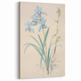 Maximalist Wall Art - Elegant Botanical Orchid Illustration for Home Decor