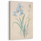 Maximalist Wall Art - Elegant Botanical Orchid Illustration for Home Decor