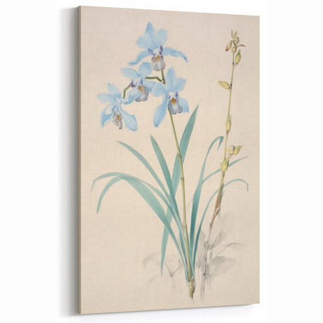 Maximalist Wall Art - Elegant Botanical Orchid Illustration for Home Decor