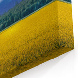 Ukrainian Art Prints – Golden Field and Tree Landscape Ukraine Canvas Art