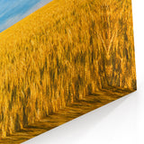 Europe Scenery Art – Golden Wheat Field Ukrainian Landscape Canvas Print