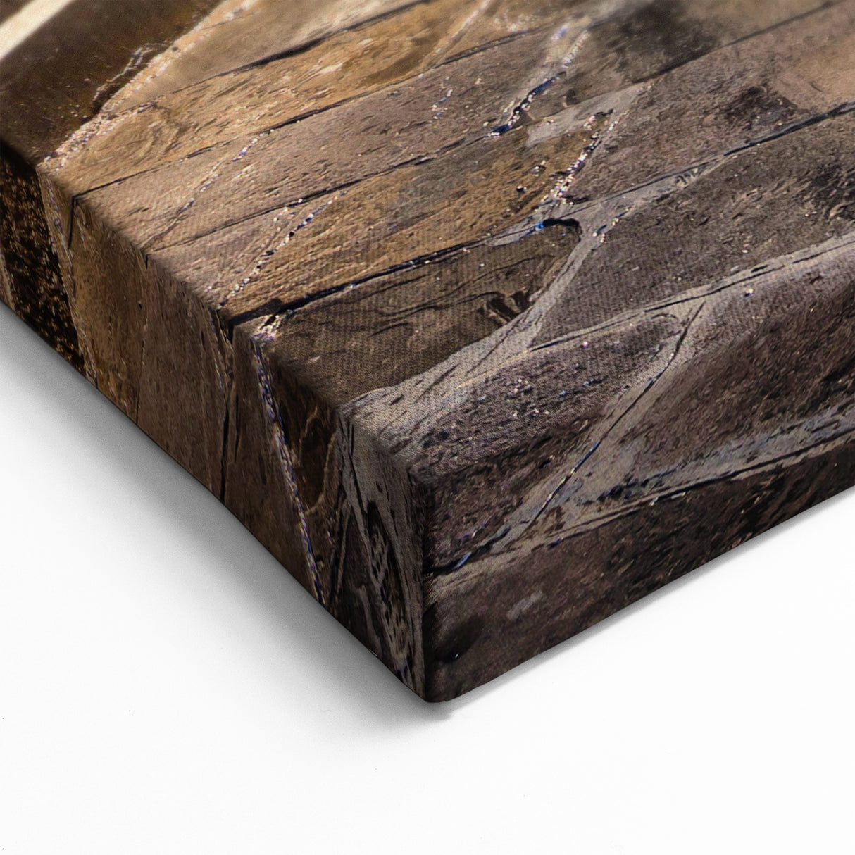 Barcelona Cityscape Art - Historic Street Scene Framed Canvas Print