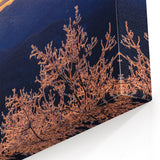 Blue Ridge Mountains Prints – Scenic North Carolina Golden Sunset Frosty Art