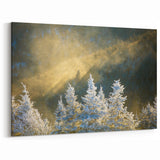 Blue Ridge Framed Art – North Carolina Frosty Pine Trees in Golden Light